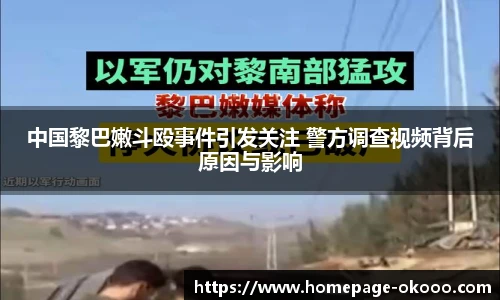 中国黎巴嫩斗殴事件引发关注 警方调查视频背后原因与影响