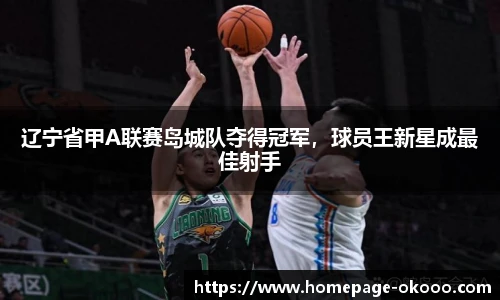 辽宁省甲A联赛岛城队夺得冠军,球员王新星成最佳射手