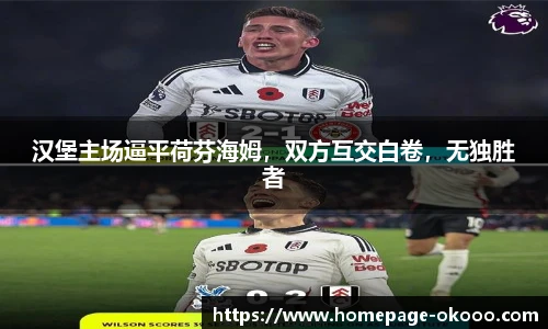 汉堡主场逼平荷芬海姆,双方互交白卷,无独胜者