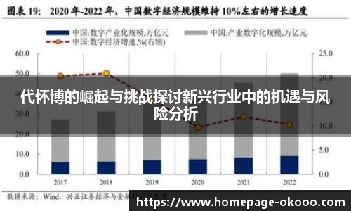 代怀博的崛起与挑战探讨新兴行业中的机遇与风险分析